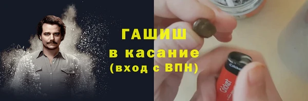 хмурый Ленск