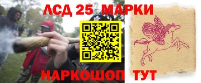 эйфоретик Кимры