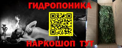 эйфоретик Кимры