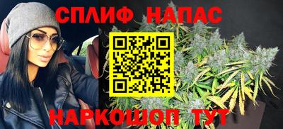 МДПВ Кингисепп