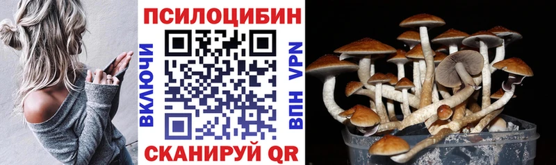 где купить наркоту  Приморско-Ахтарск  Галлюциногенные грибы ЛСД 