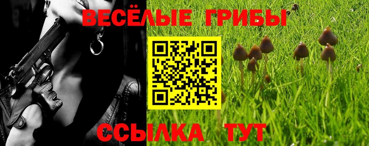 Галлюциногенные грибы GOLDEN TEACHER Приморско-Ахтарск